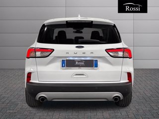FORD Kuga 1.5 ecoblue titanium business 2wd 120cv