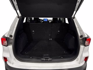 FORD Kuga 1.5 ecoblue titanium business 2wd 120cv
