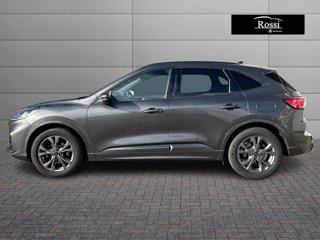 FORD Kuga 1.5 ecoblue st-line 2wd 120cv auto