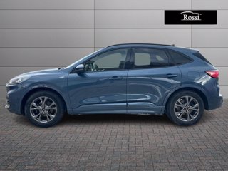 FORD Kuga 1.5 ecoblue st-line 2wd 120cv auto