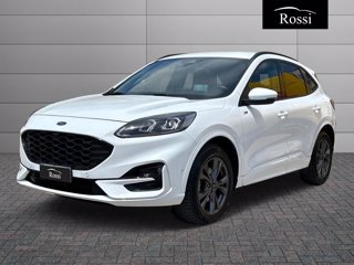 FORD Kuga 2.0 ecoblue st-line x awd 120cv auto