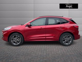 FORD Kuga 2.5 phev st-line x 2wd 225cv cvt