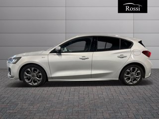 FORD Focus 1.5 ecoblue st-line 115cv auto
