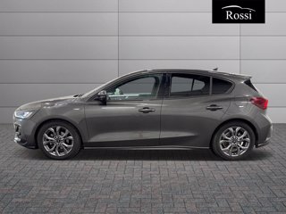 FORD Focus 1.5 ecoblue st-line 115cv auto
