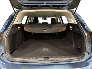 FORD Focus sw 1.5 ecoblue business s&s 120cv my20.75